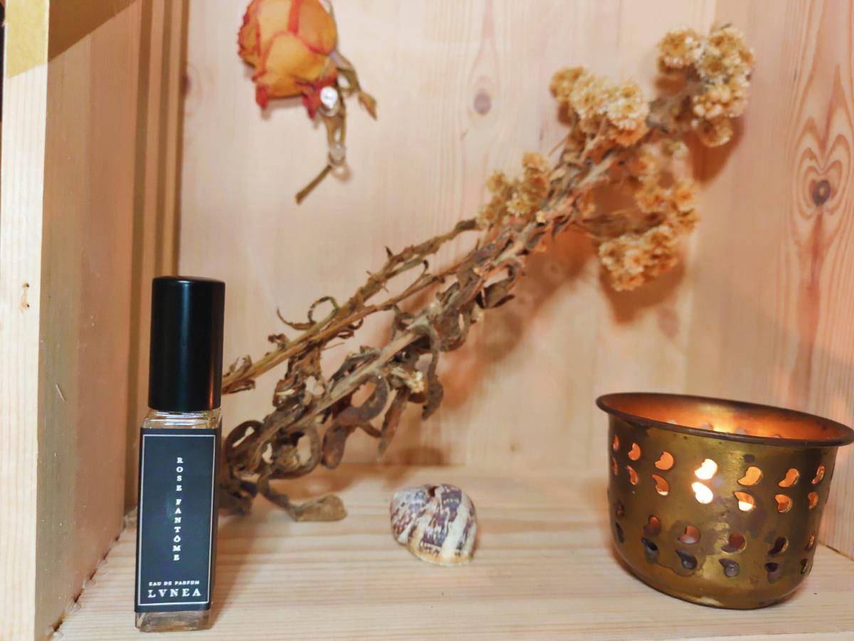 عطر ادکلن رز فانتوم لوانیا - Rose Fantôme Lvnea - بررسی، قیمت و خرید