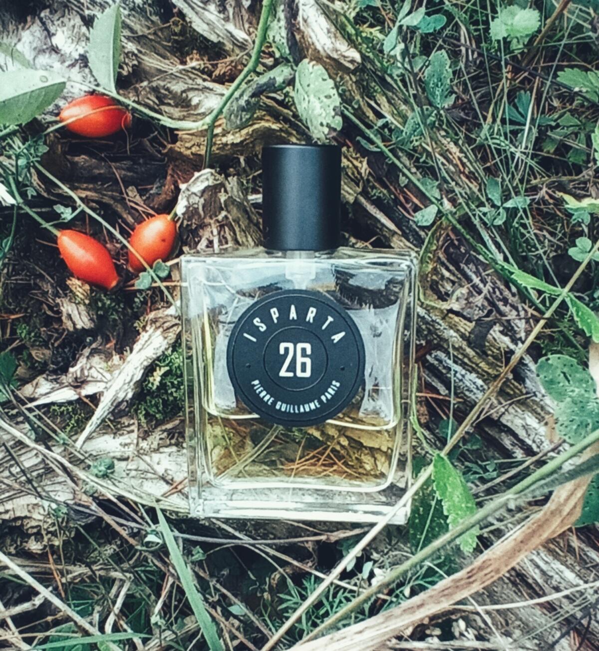 عطر ادکلن ایسپارتا ۲۶ پیر گیوم پاریس - Isparta 26 Pierre Guillaume Paris - بررسی، قیمت و خرید