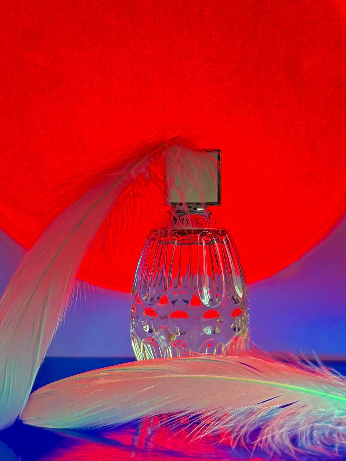عطر ادکلن جیمی چو فلورال جیمی چو - Jimmy Choo Floral Jimmy Choo - بررسی، قیمت و خرید
