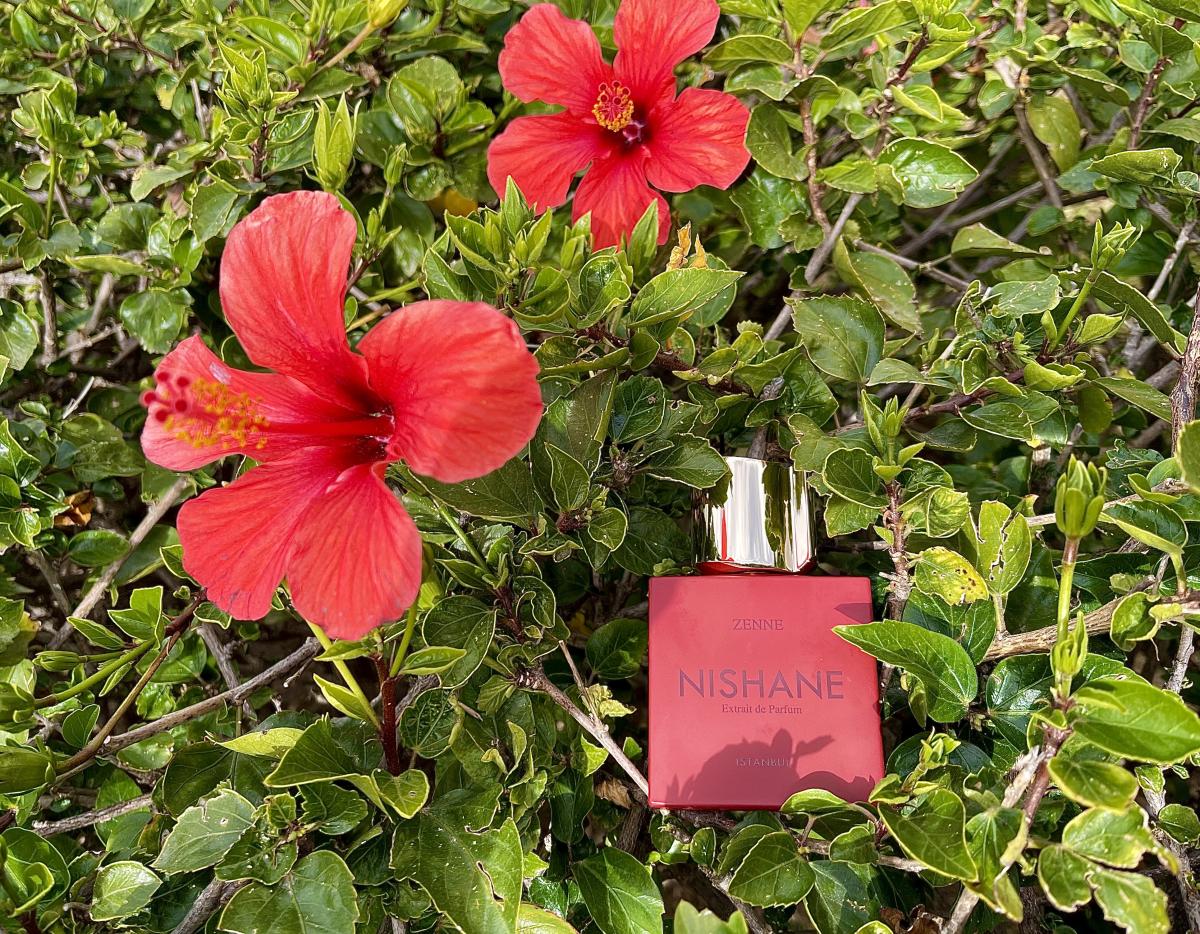 عطر ادکلن زن نیشانه - Zenne Nishane - بررسی، قیمت و خرید