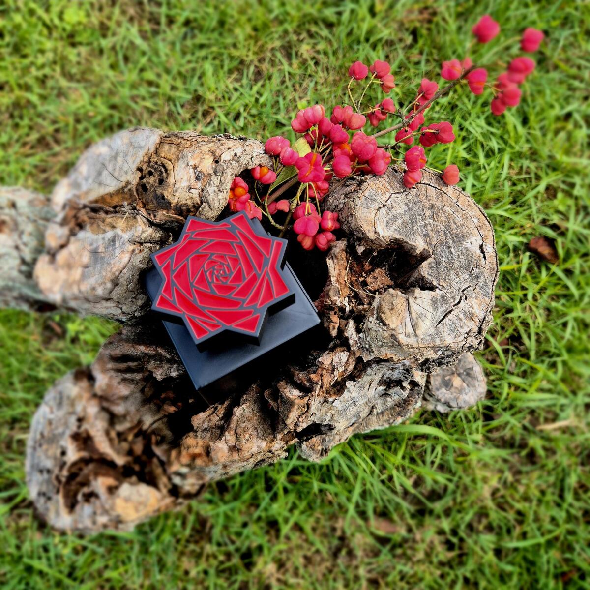 عطر ادکلن جوری کاجال - Joorie Kajal - بررسی، قیمت و خرید
