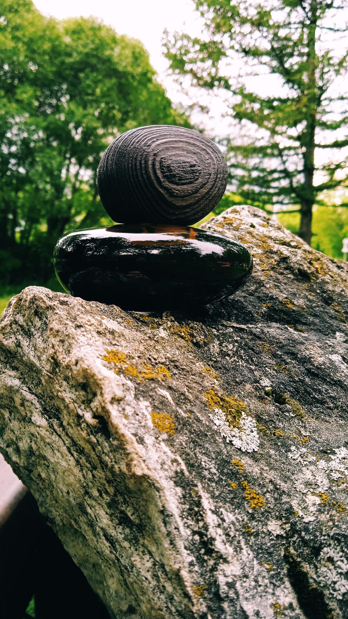 عطر ادکلن تندر است لا نویی مجدا بقالی - Tendre est la Nuit Majda Bekkali - بررسی، قیمت و خرید