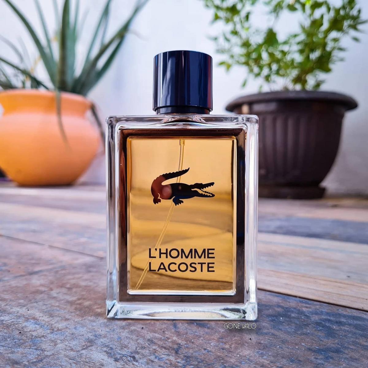 عطر ادکلن لهم لاکست لاکست فراگرنسز - L'Homme Lacoste Lacoste Fragrances - بررسی، قیمت و خرید