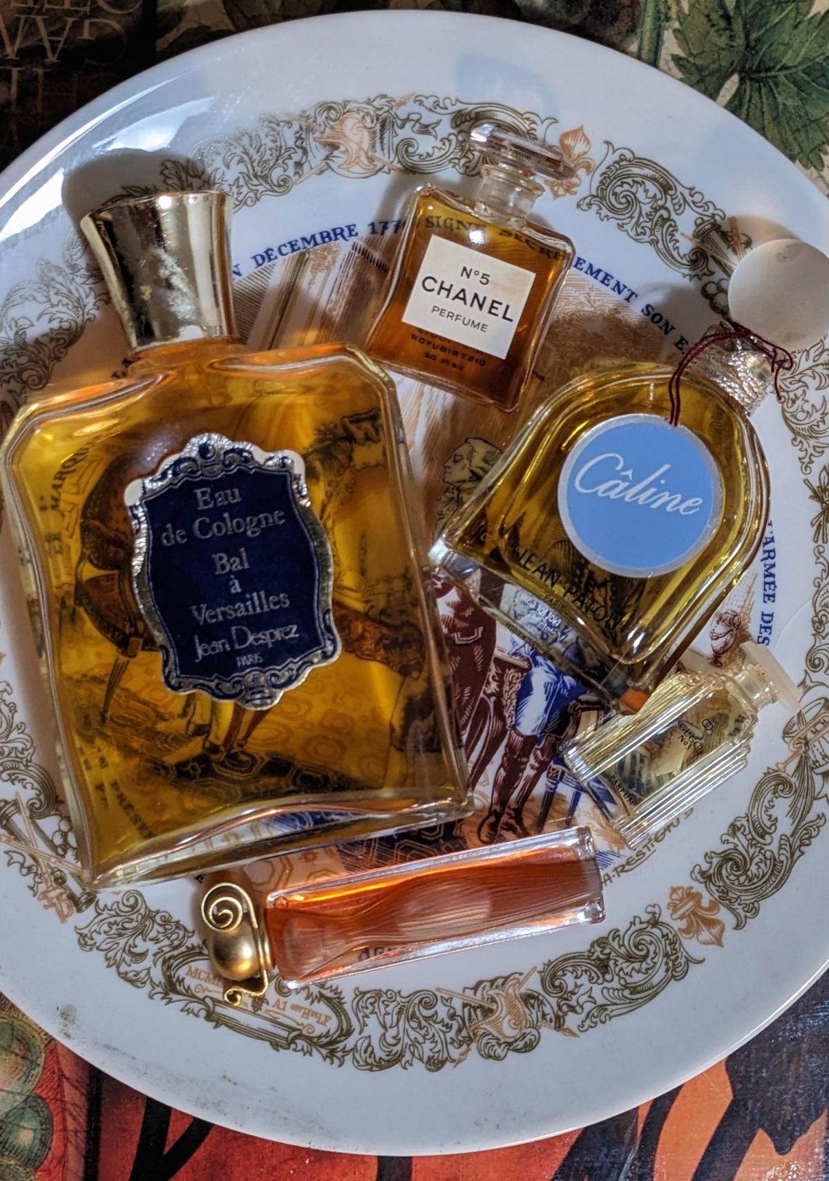 عطر ادکلن کالین ژان پاتو - Câline Jean Patou - بررسی، قیمت و خرید