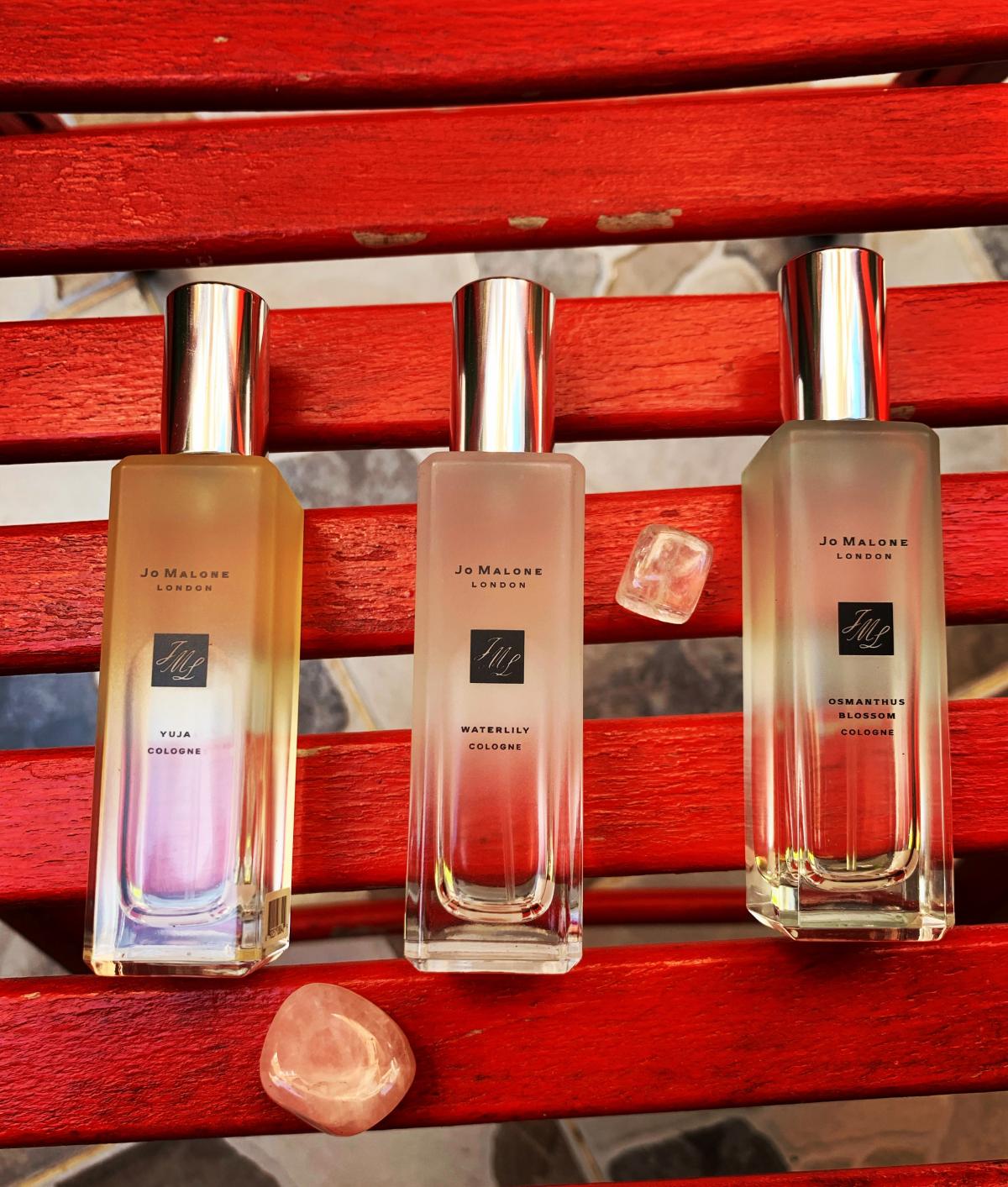 عطر ادکلن آسمانتوس کلون جو مالون لندن - Osmanthus Cologne Jo Malone London - بررسی، قیمت و خرید
