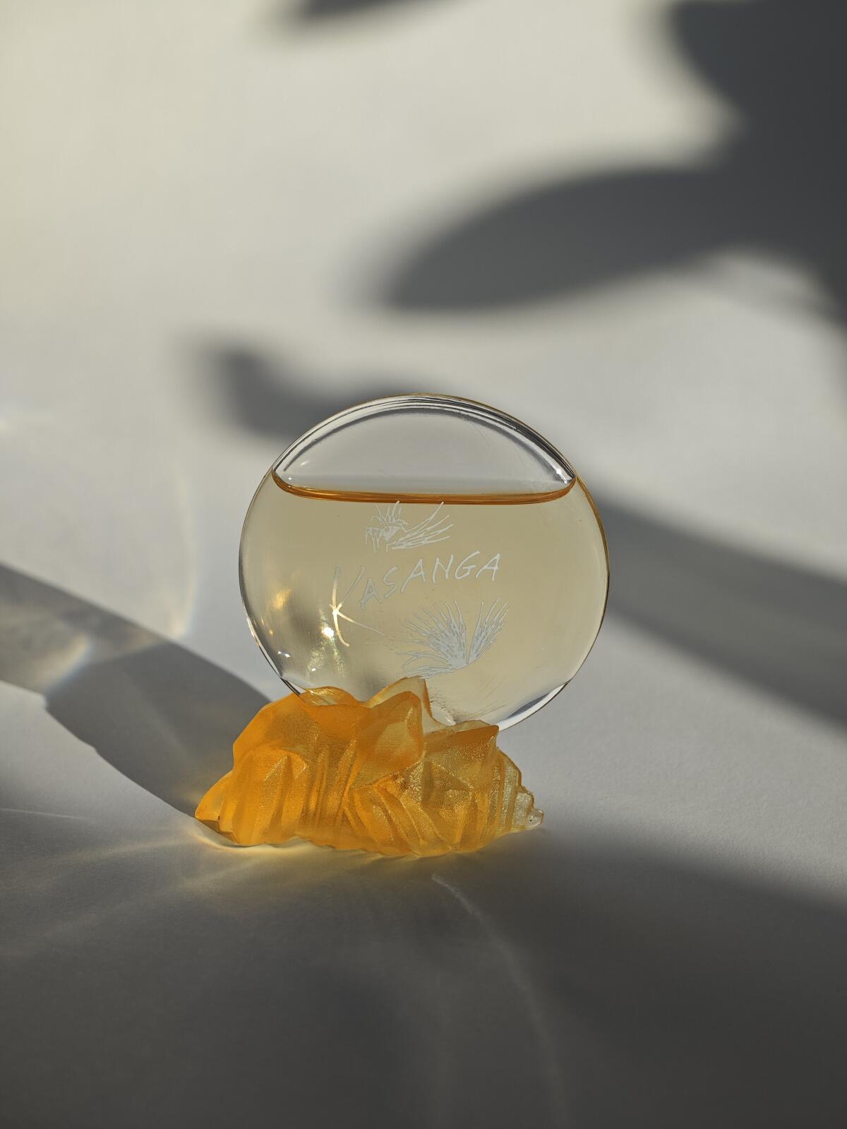 عطر ادکلن کسنگا پکوما - Kasanga Pacoma - بررسی، قیمت و خرید