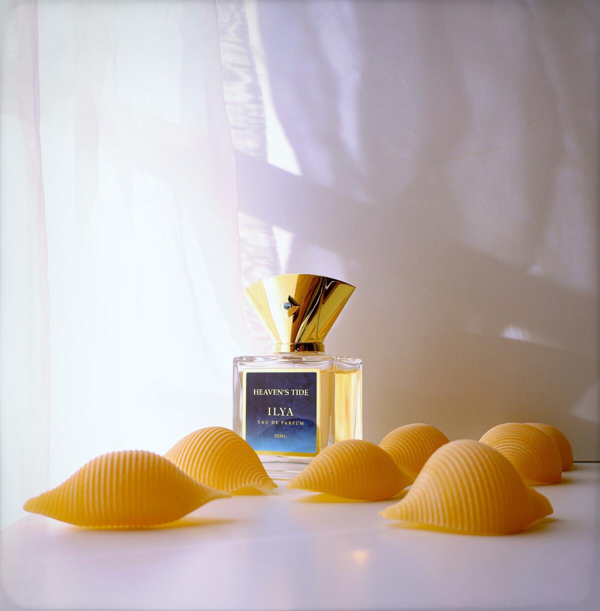 عطر ادکلن هیونز تاید ایلیا پارفومز - Heaven’s Tide Ilya Parfums - بررسی، قیمت و خرید