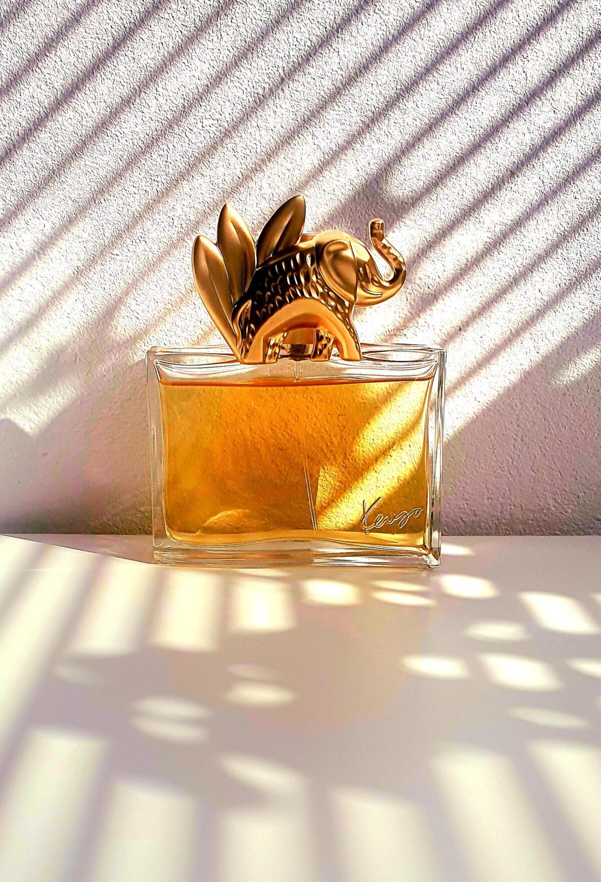 عطر ادکلن کنزو جانگل ل'الفنت کنزو - Kenzo Jungle L'Elephant Kenzo - بررسی، قیمت و خرید