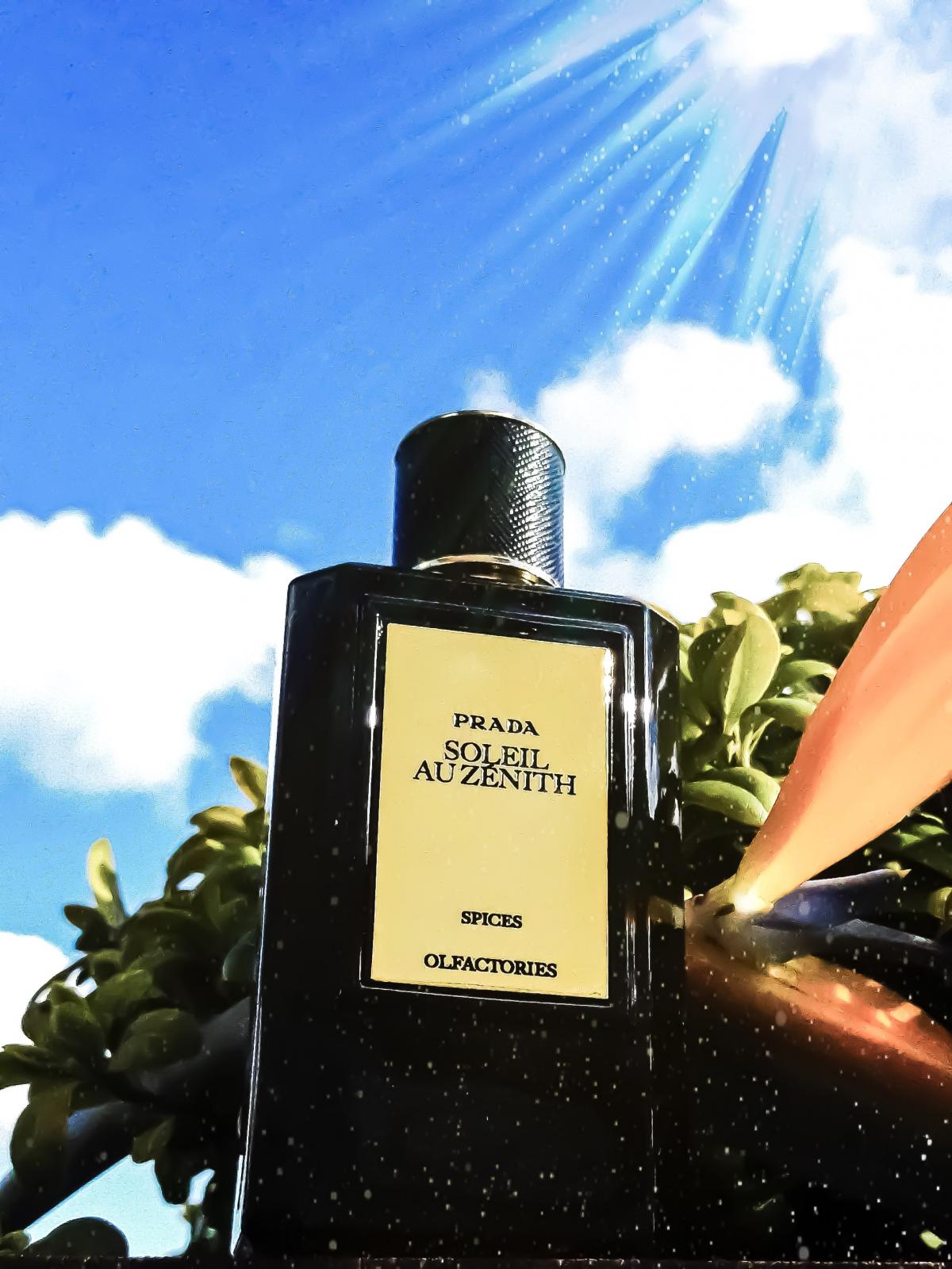 عطر ادکلن میرژس سولی او زونیت پِرادا - Mirages Soleil au Zenith Prada - بررسی، قیمت و خرید