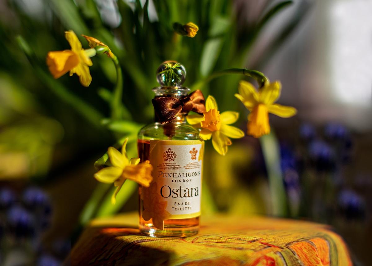 عطر ادکلن اوستارا پنالیگونز - Ostara Penhaligon's - بررسی، قیمت و خرید