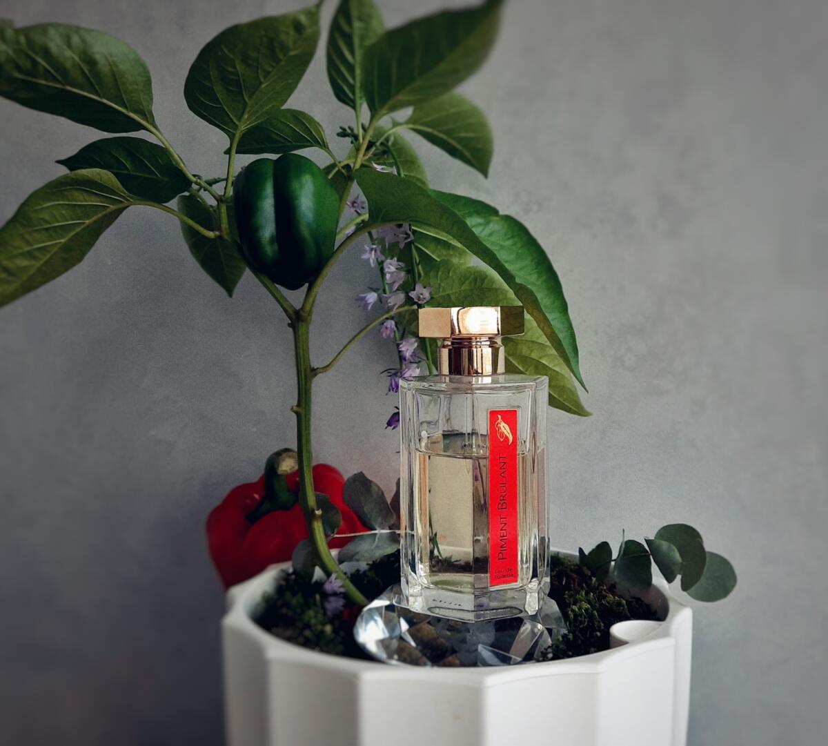عطر ادکلن پیمان برولان لارتیزان پرفیومر - Piment Brulant L'Artisan Parfumeur - بررسی، قیمت و خرید