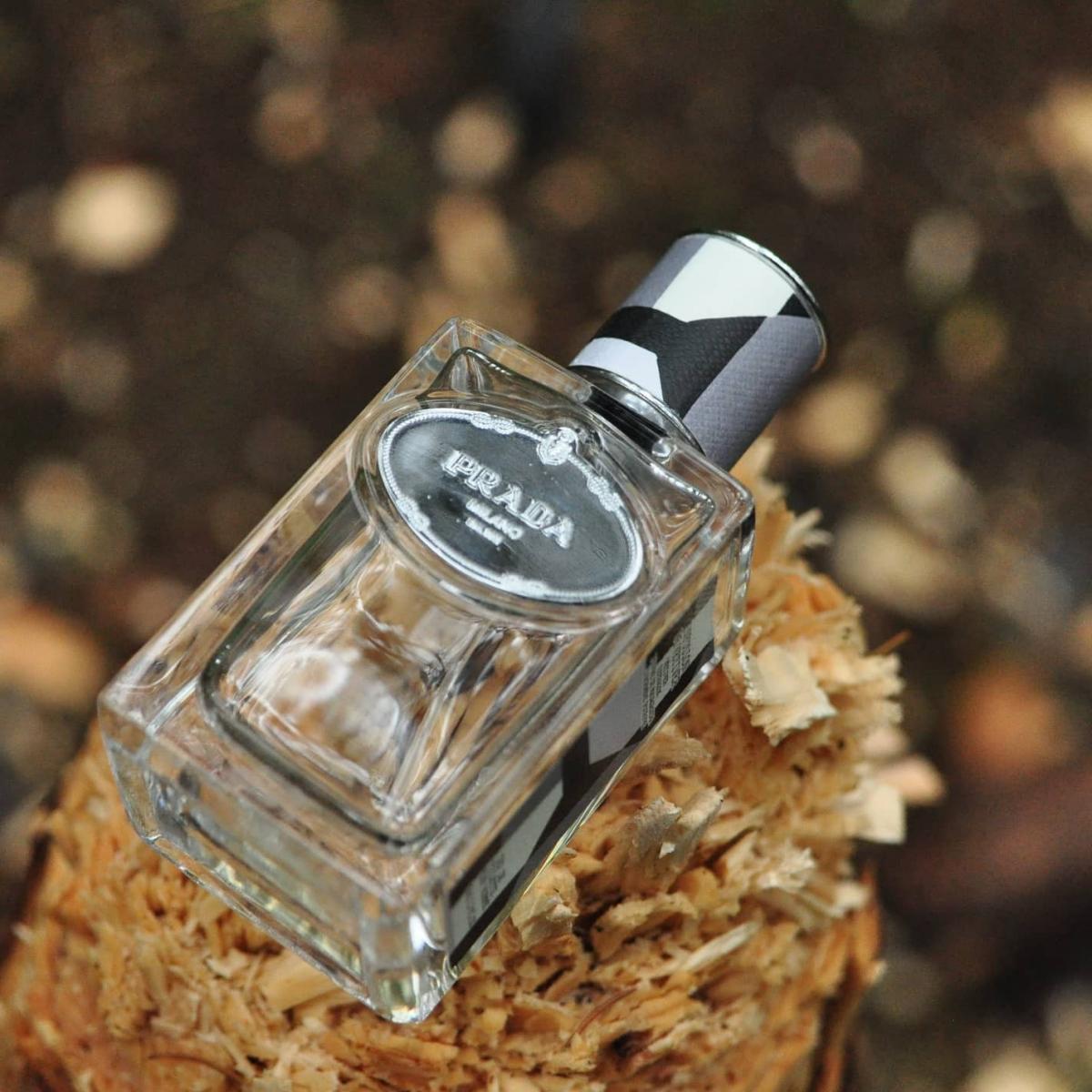 عطر ادکلن اینفیوژن دو وتیور پرادا - Infusion de Vetiver Prada - بررسی، قیمت و خرید