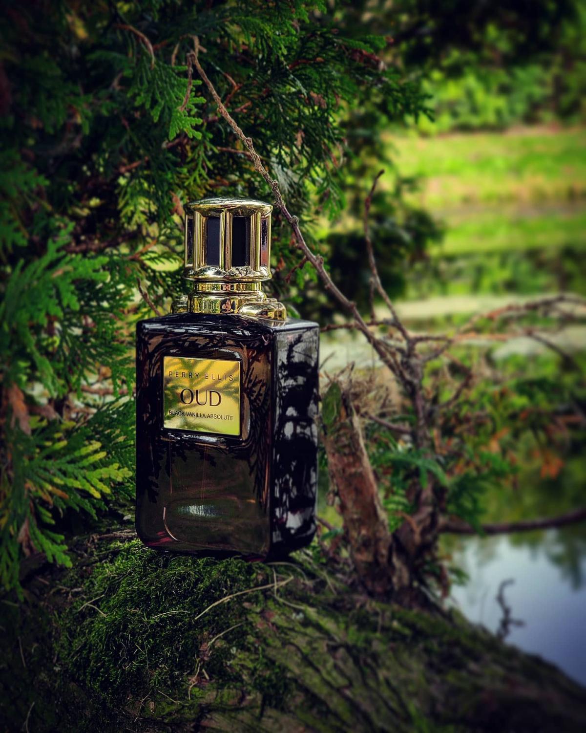 عطر ادکلن بلک وانیلا ابسولوت پری الیس - Black Vanilla Absolute Perry Ellis - بررسی، قیمت و خرید