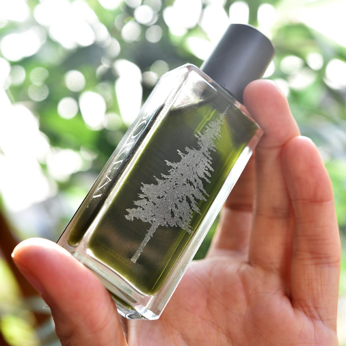 عطر ادکلن بوریل پاین‌وارد پرفیومز - Boreal Pineward Perfumes - بررسی، قیمت و خرید