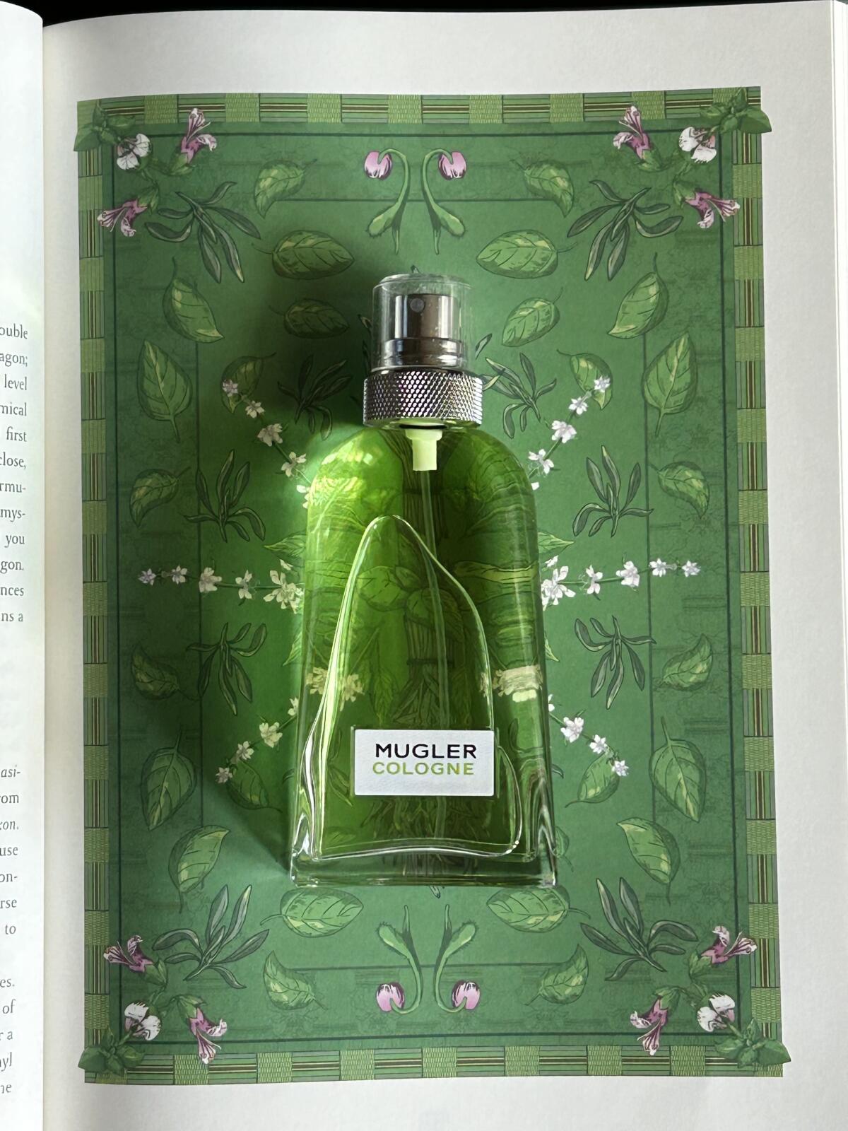 عطر ادکلن ماگلر کلن کام توگدر موگلر - Mugler Cologne Come Together Mugler - بررسی، قیمت و خرید