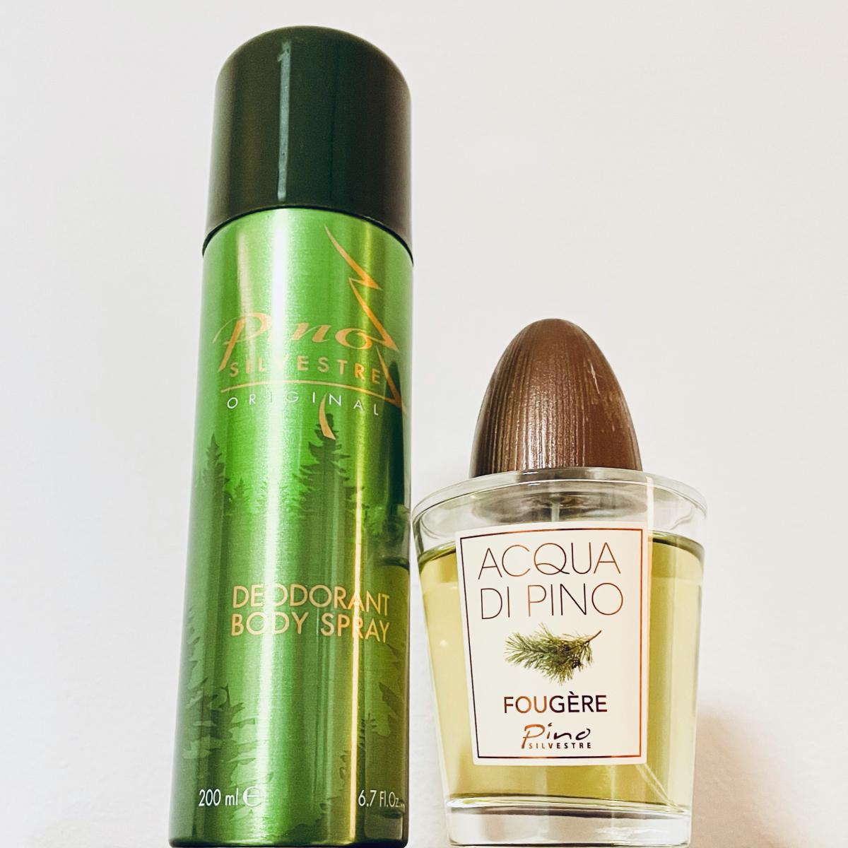 عطر ادکلن آکوا دی پینو فوژر پینو سیلوستر - Acqua di Pino Fougere Pino Silvestre - بررسی، قیمت و خرید