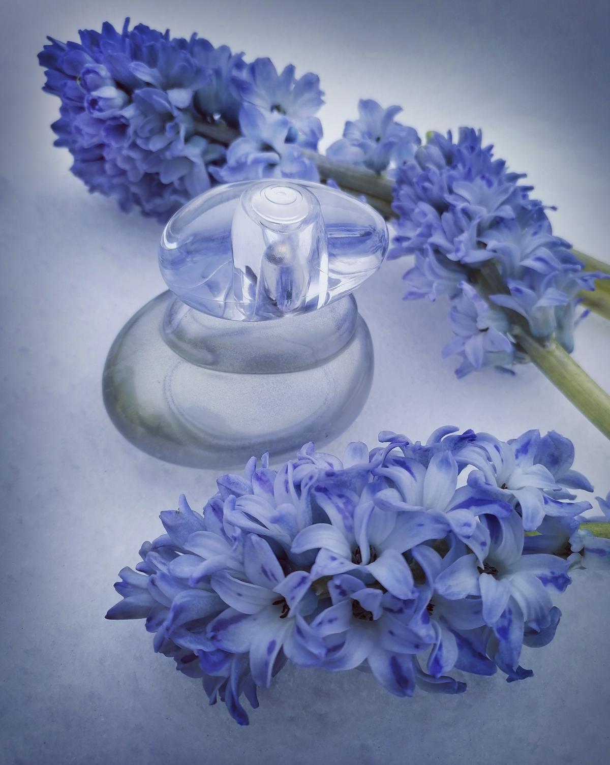 عطر ادکلن الوای وایت مجیک اریفلیم - Elvie White Magic Oriflame - بررسی، قیمت و خرید