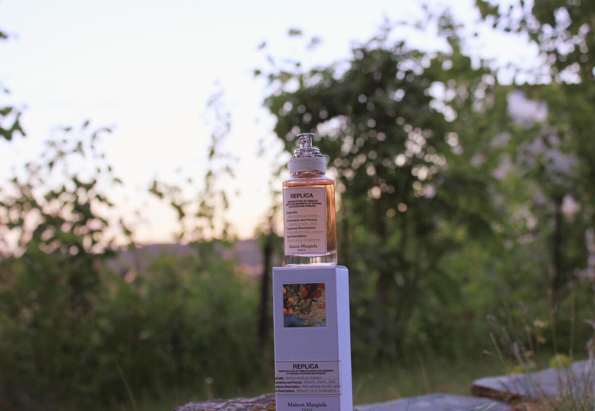 عطر ادکلن نوور اندینگ سامر مِیزون مارتَن مارژِلا - Never-ending Summer Maison Martin Margiela - بررسی، قیمت و خرید