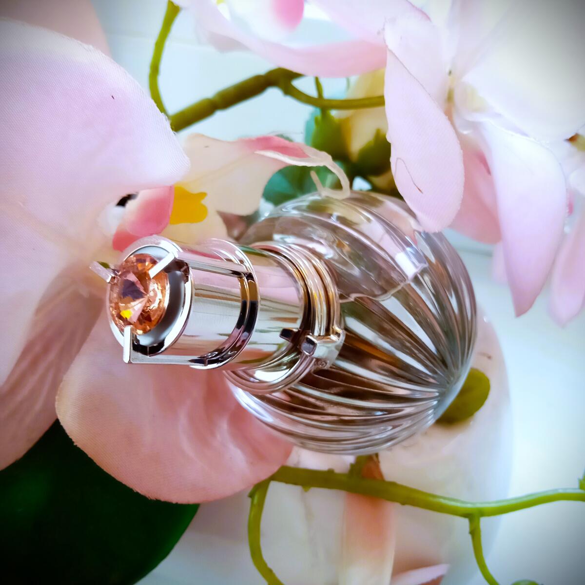 عطر ادکلن ایکله د فلور لنوین - Eclat de Fleurs Lanvin - بررسی، قیمت و خرید
