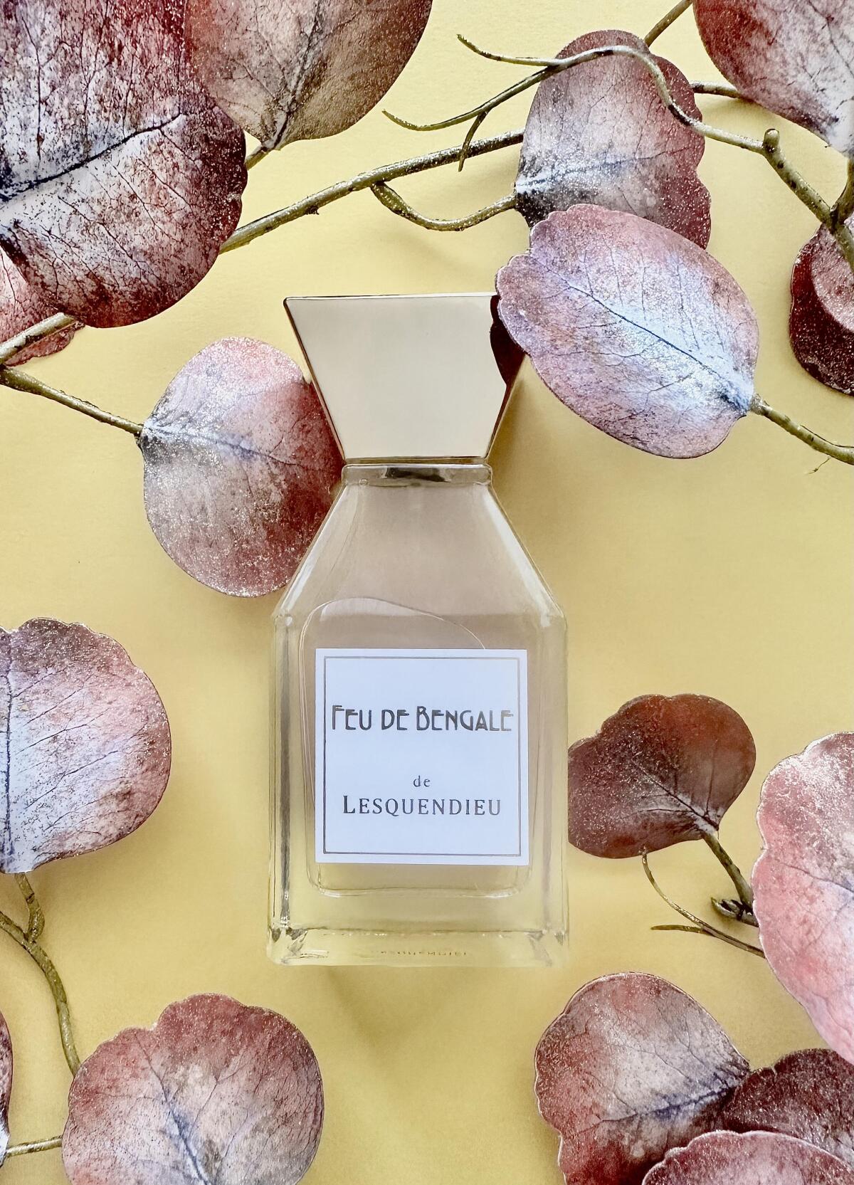 عطر ادکلن فو دو بنگال لسکندیو - Feu De Bengale Lesquendieu - بررسی، قیمت و خرید