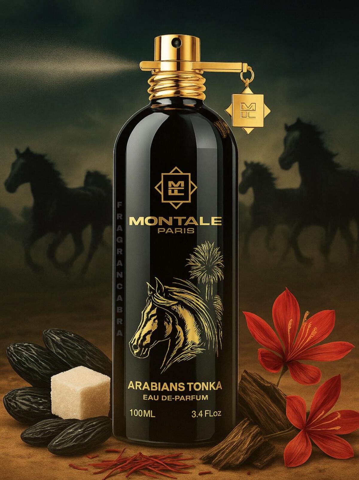 عطر ادکلن عربیانس تانکا مونتال - Arabians Tonka Montale - بررسی، قیمت و خرید
