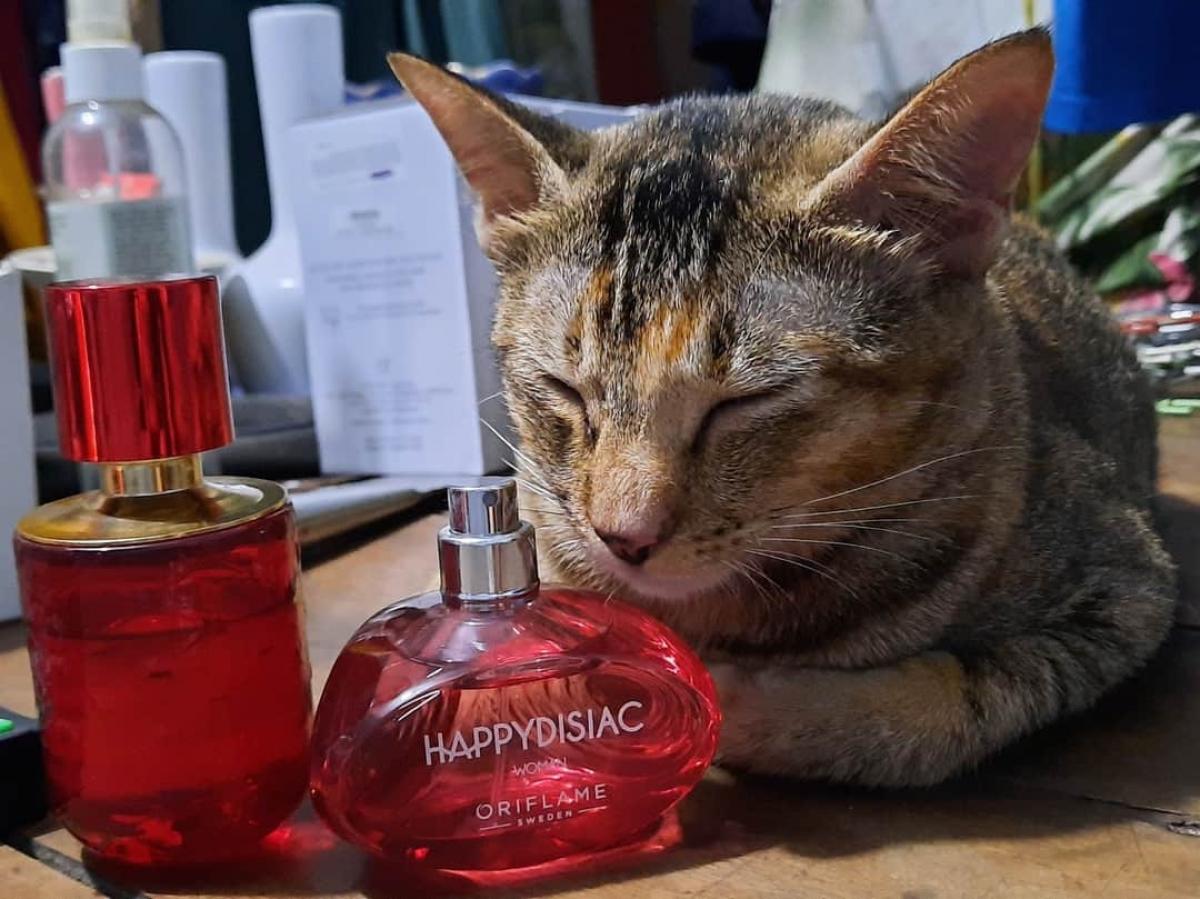 عطر ادکلن هپی دیسیاک وومن اوریف‌لیم - Happydisiac Woman Oriflame - بررسی، قیمت و خرید
