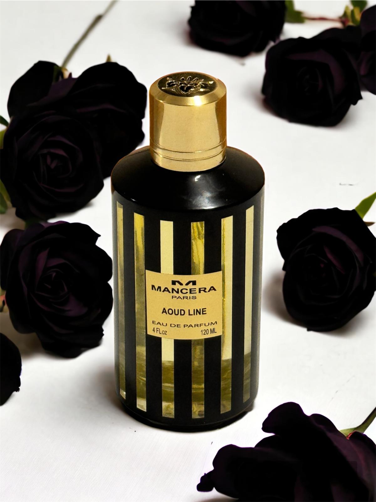 عطر ادکلن آود لاین منصرا - Aoud Line Mancera - بررسی، قیمت و خرید