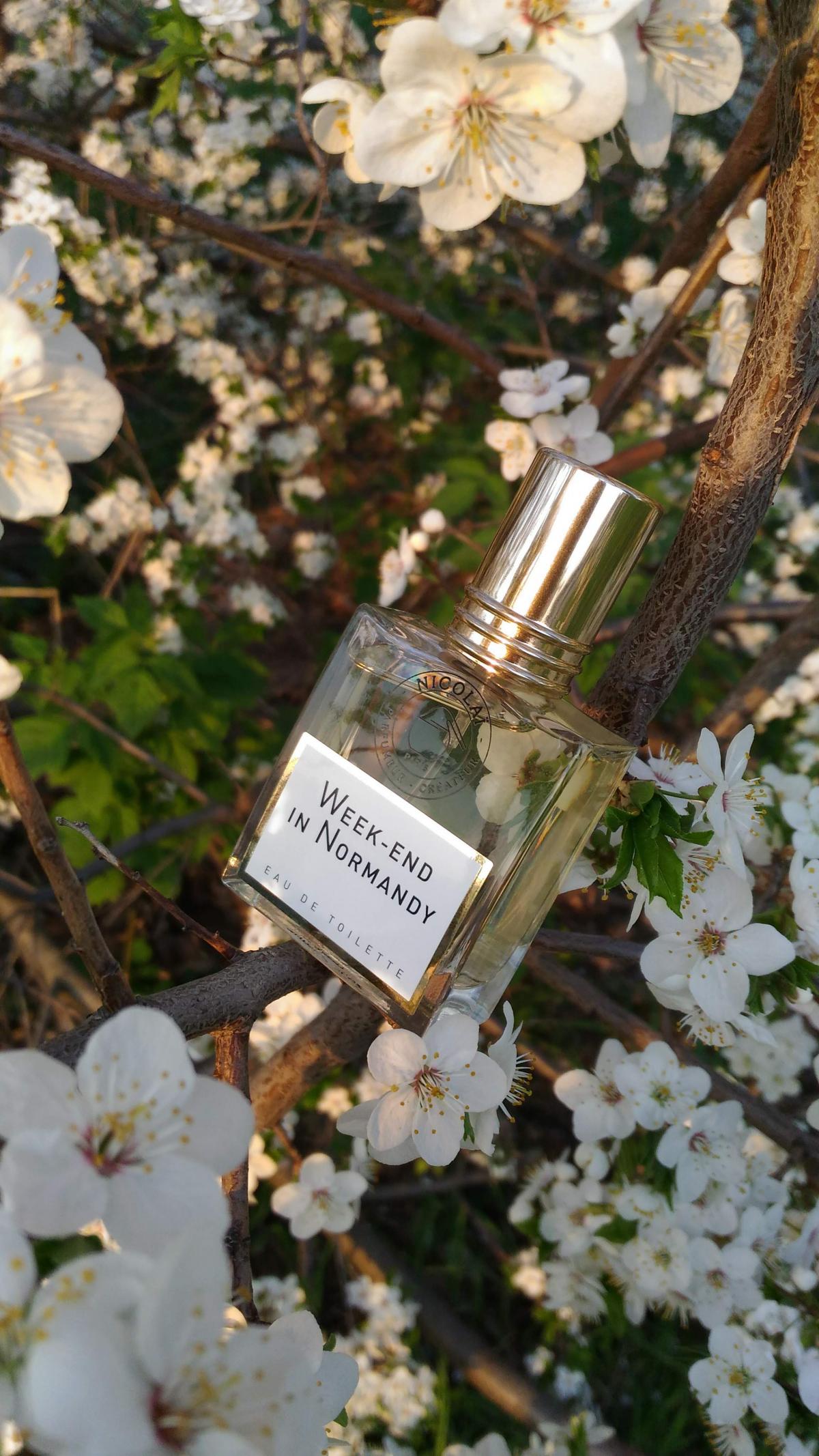 عطر ادکلن ویکند این نورماندی نیکولای پارفومر کریتور - Week-end in Normandy Nicolai Parfumeur Createur - بررسی، قیمت و خرید