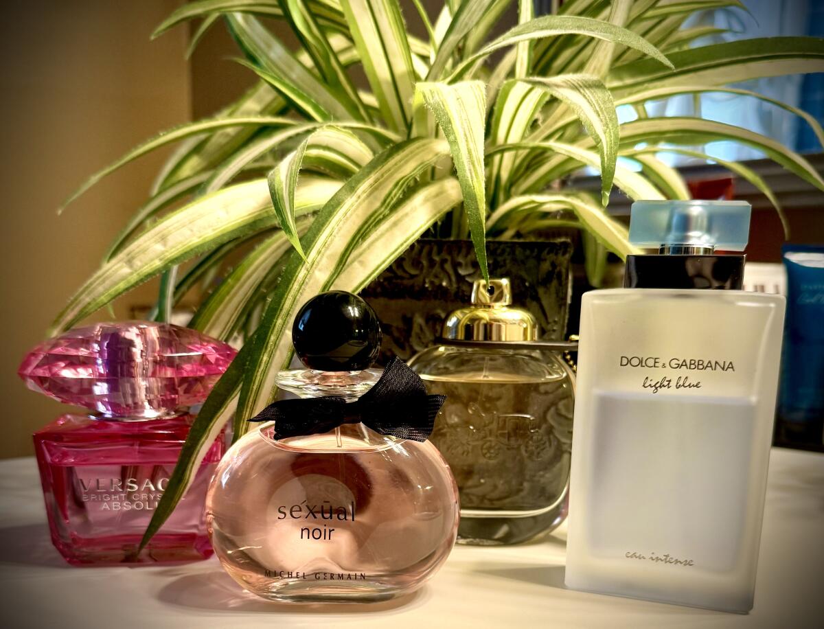 عطر ادکلن سکچوال نوآر فور وومن میشل ژرمن - Sexual Noir For Women Michel Germain - بررسی، قیمت و خرید