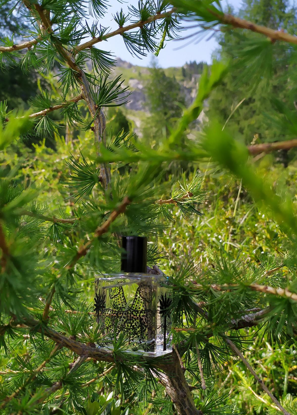 عطر ادکلن فلوریو اورتجا سیسیلیا - Florio Ortigia Sicilia - بررسی، قیمت و خرید