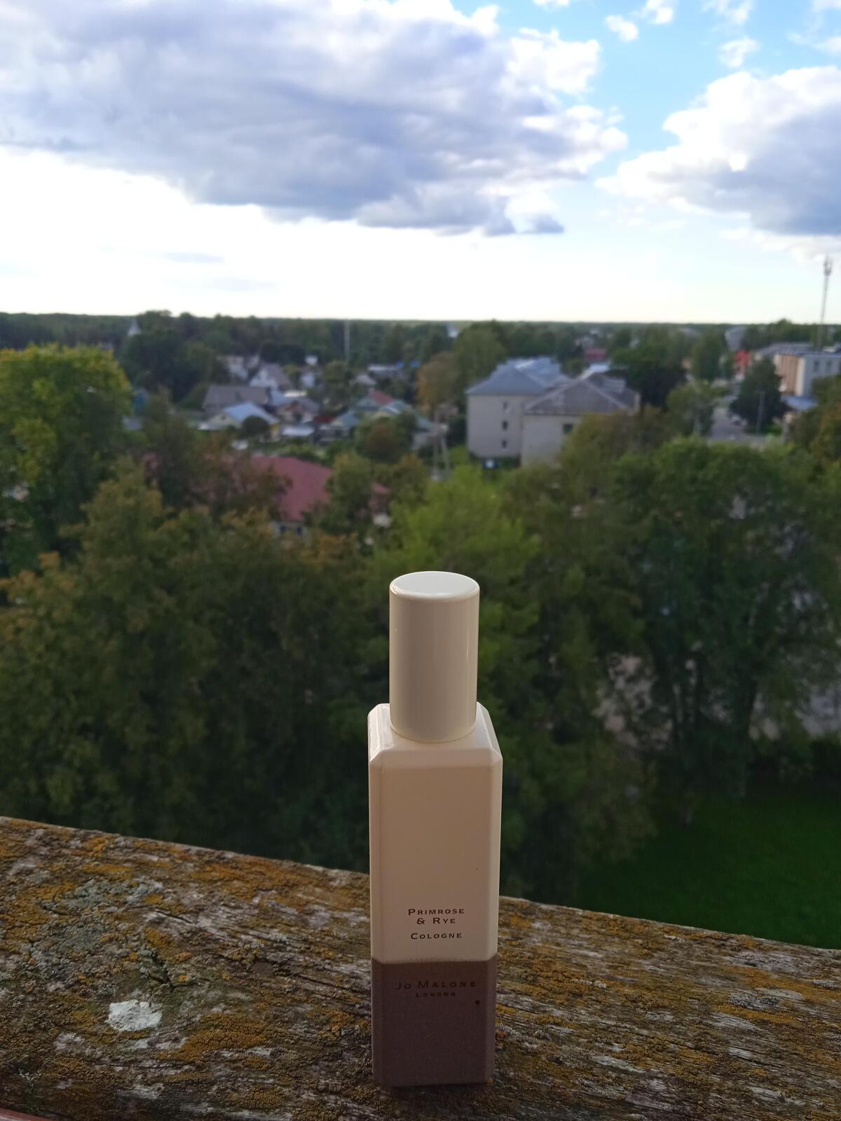 عطر ادکلن پریمروز اند رای جو مالون لاندن - Primrose & Rye Jo Malone London - بررسی، قیمت و خرید