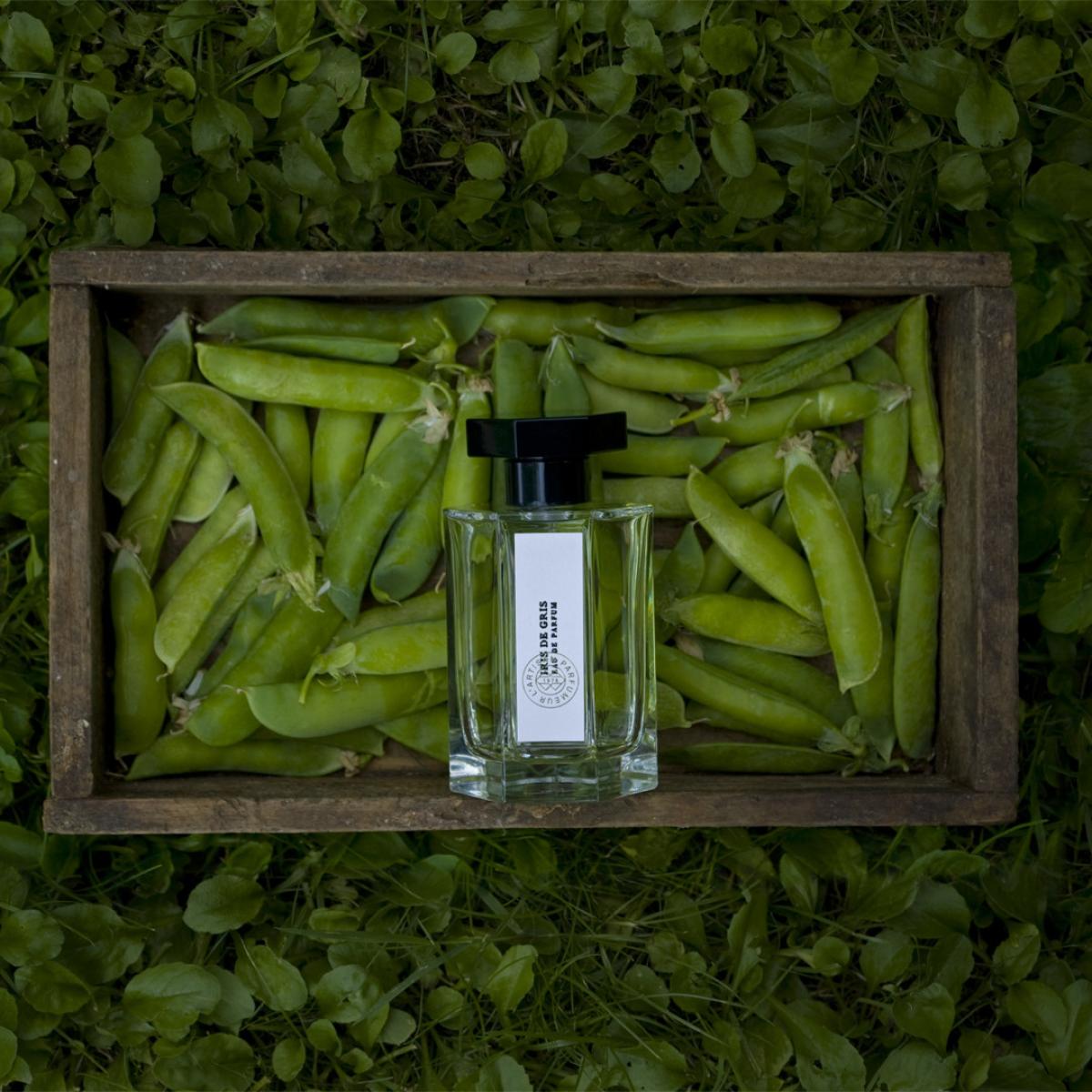 عطر ادکلن آیریس د گری لارتیزان پغفومه - Iris de Gris L'Artisan Parfumeur - بررسی، قیمت و خرید