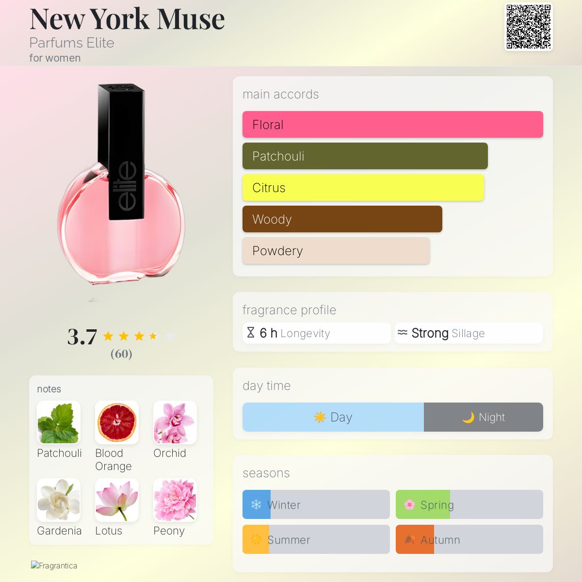 عطر ادکلن نیویورک میوز پرفیومز الیت - New York Muse Parfums Elite - بررسی، قیمت و خرید