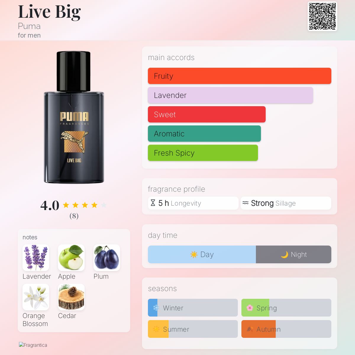 عطر ادکلن لیو بیگ پومـا - Live Big Puma - بررسی، قیمت و خرید