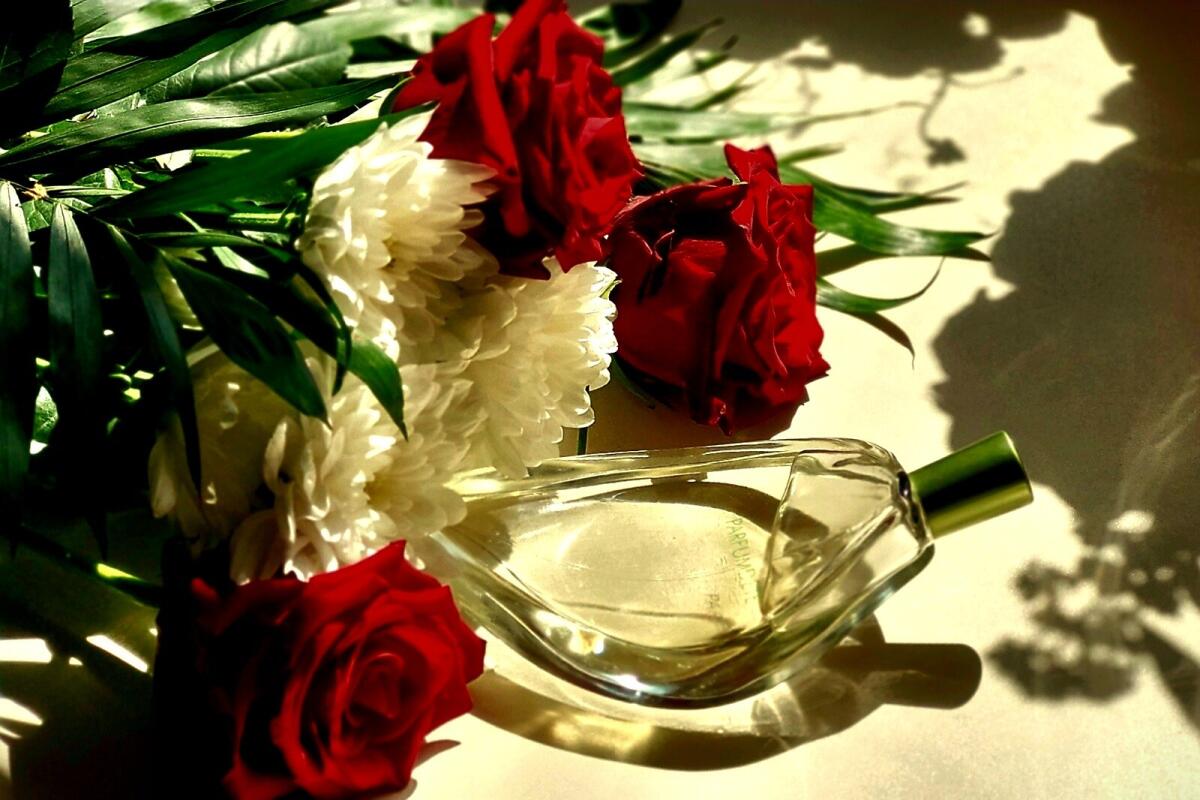 عطر ادکلن پرفیوم د اِته دوهزار و دو کنزو - Parfum d'Ete 2002 Kenzo - بررسی، قیمت و خرید