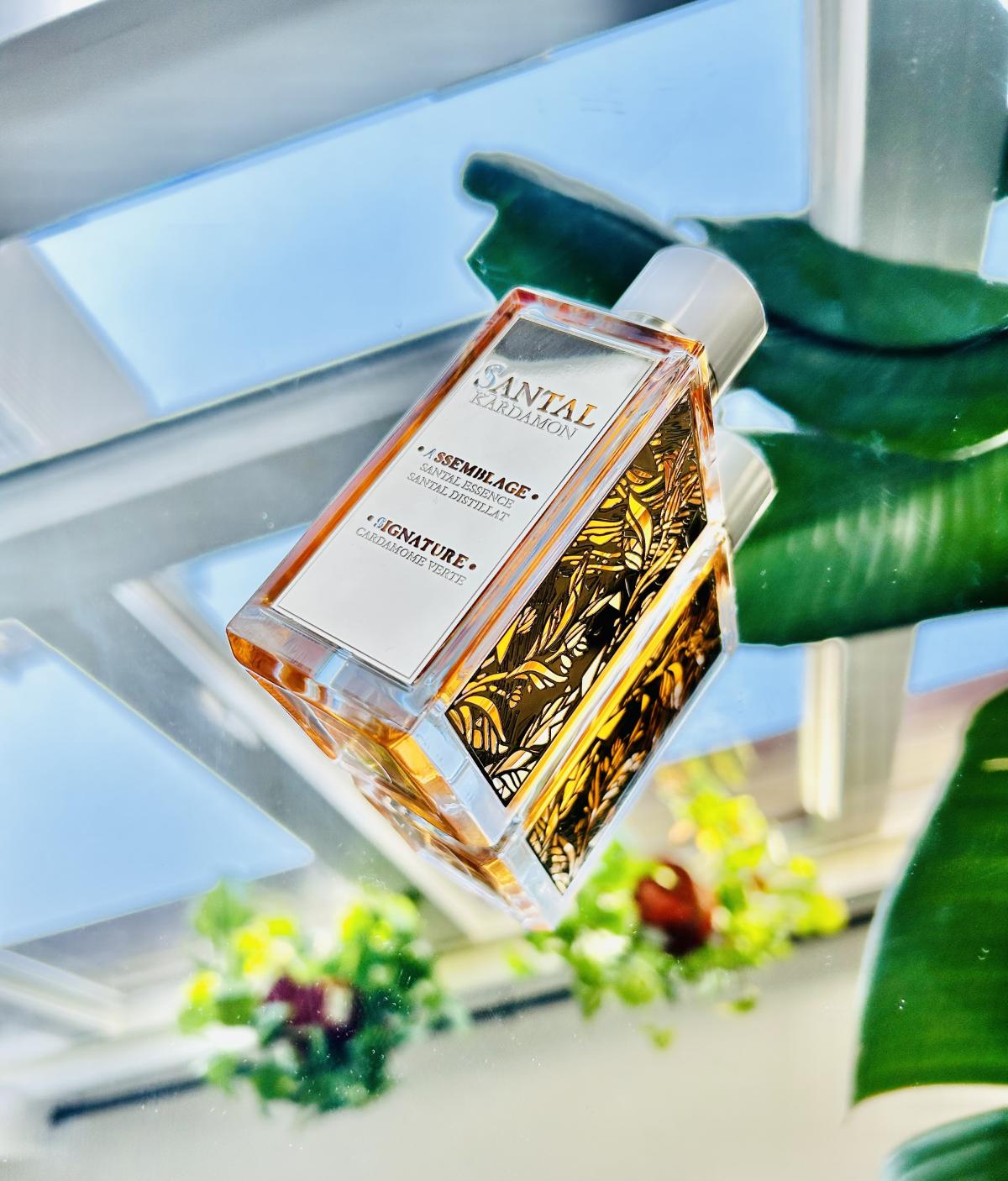 عطر ادکلن سانتال کاردامون لنکوم - Santal Kardamon Lancôme - بررسی، قیمت و خرید