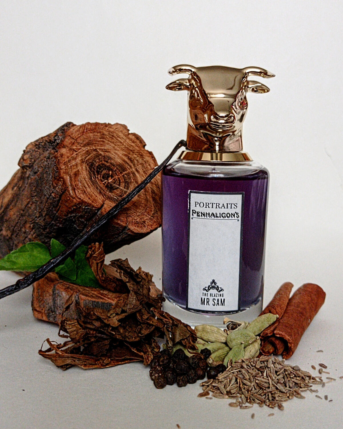 عطر ادکلن ذ بلیزینگ مستر سم پنالیگونز - The Blazing Mr Sam Penhaligon's - بررسی، قیمت و خرید