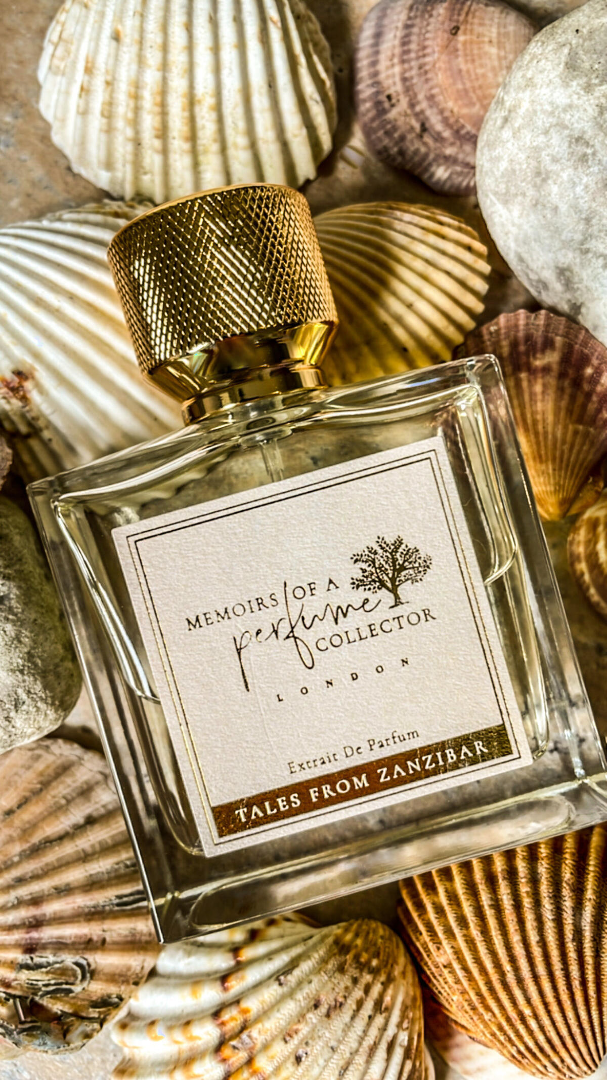 عطر ادکلن تیلس فرام زنگبار مموآرز آو اِ پرفیوم کالکتِر - Tales from Zanzibar Memoirs Of A Perfume Collector - بررسی، قیمت و خرید