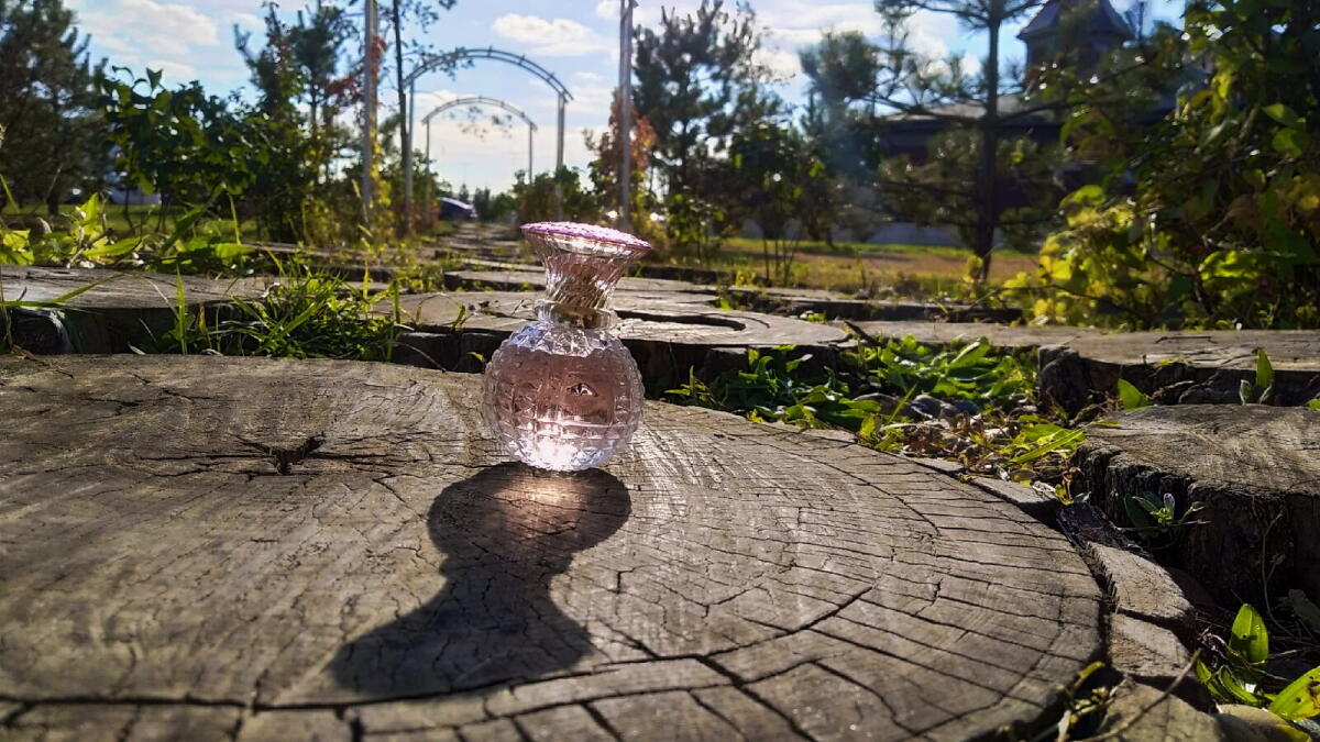عطر ادکلن کریستال رویال رز پرنسس مارینا دی بوربون - Cristal Royal Rose Princesse Marina De Bourbon - بررسی، قیمت و خرید