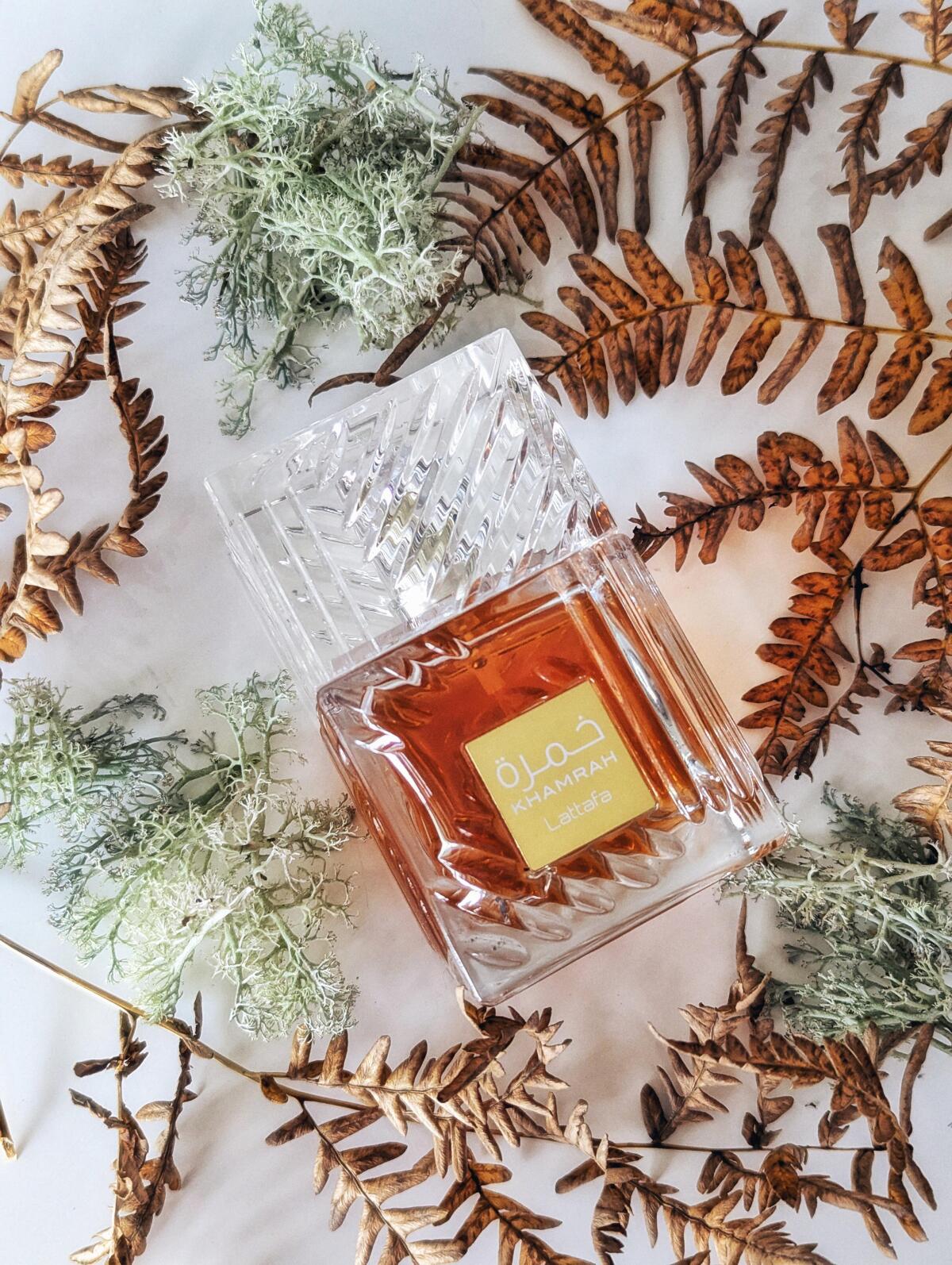 عطر ادکلن خمراه لتافا پرفیومز - Khamrah Lattafa Perfumes - بررسی، قیمت و خرید