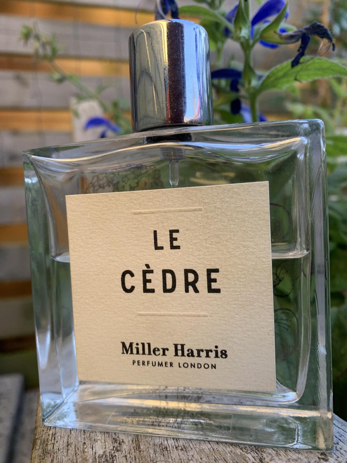 عطر ادکلن ل سدر میلر هریس - Le Cedre Miller Harris - بررسی، قیمت و خرید