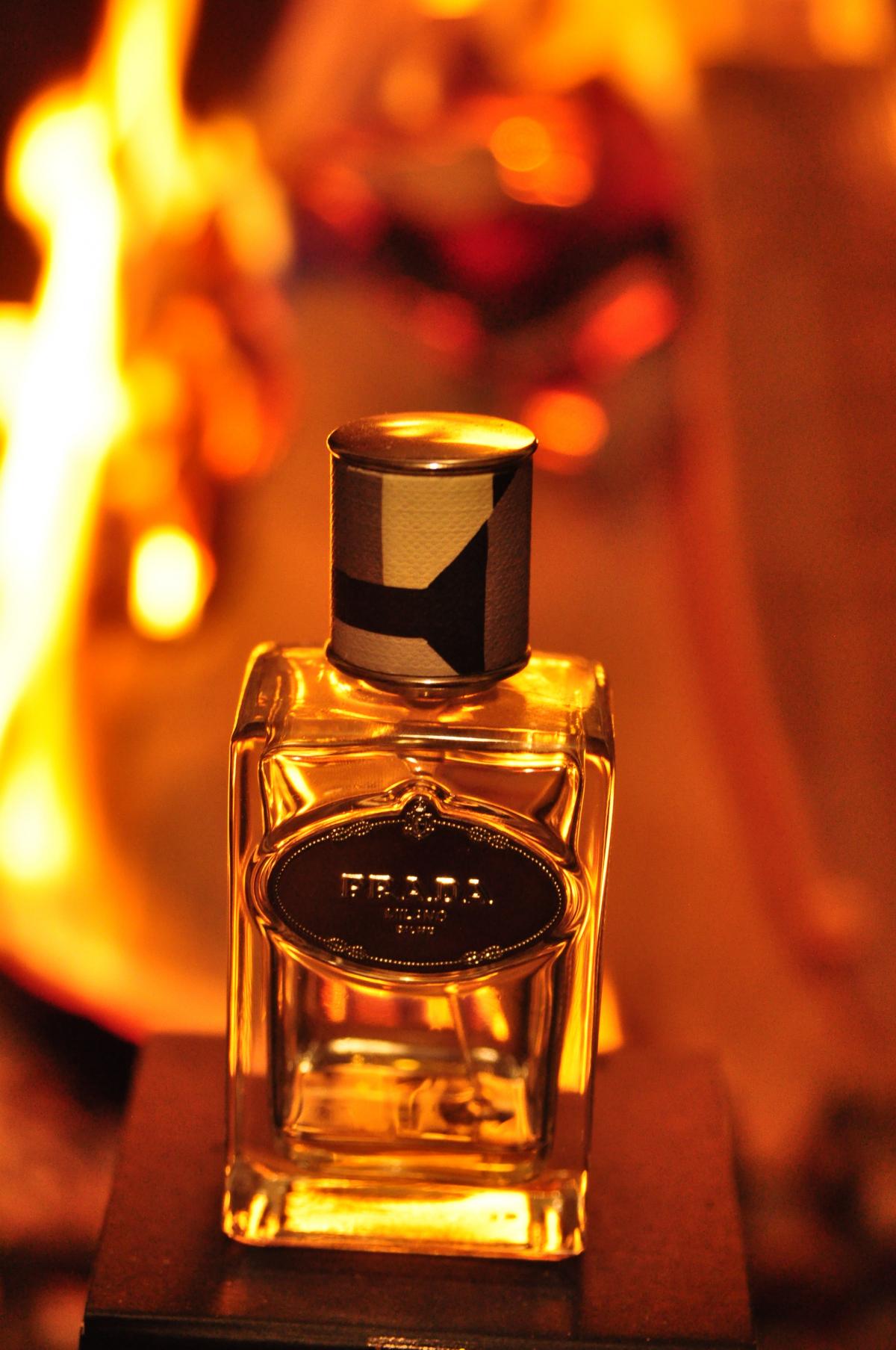 عطر ادکلن اینفیوژن دو وتیور پرادا - Infusion de Vetiver Prada - بررسی، قیمت و خرید