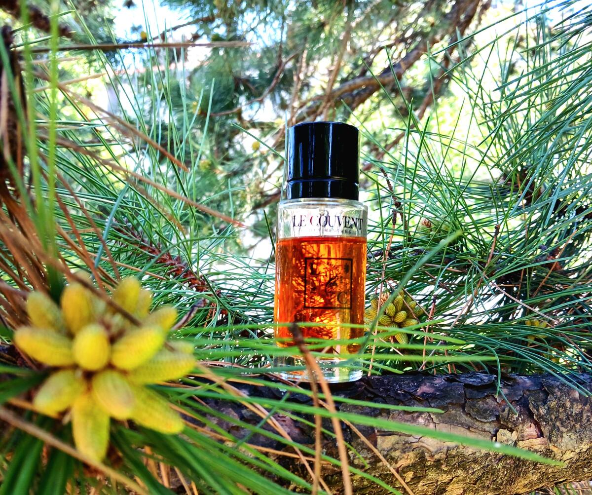 عطر ادکلن آکوا سولیس لو کوونت - Aqua Solis Le Couvent Maison de Parfum - بررسی، قیمت و خرید