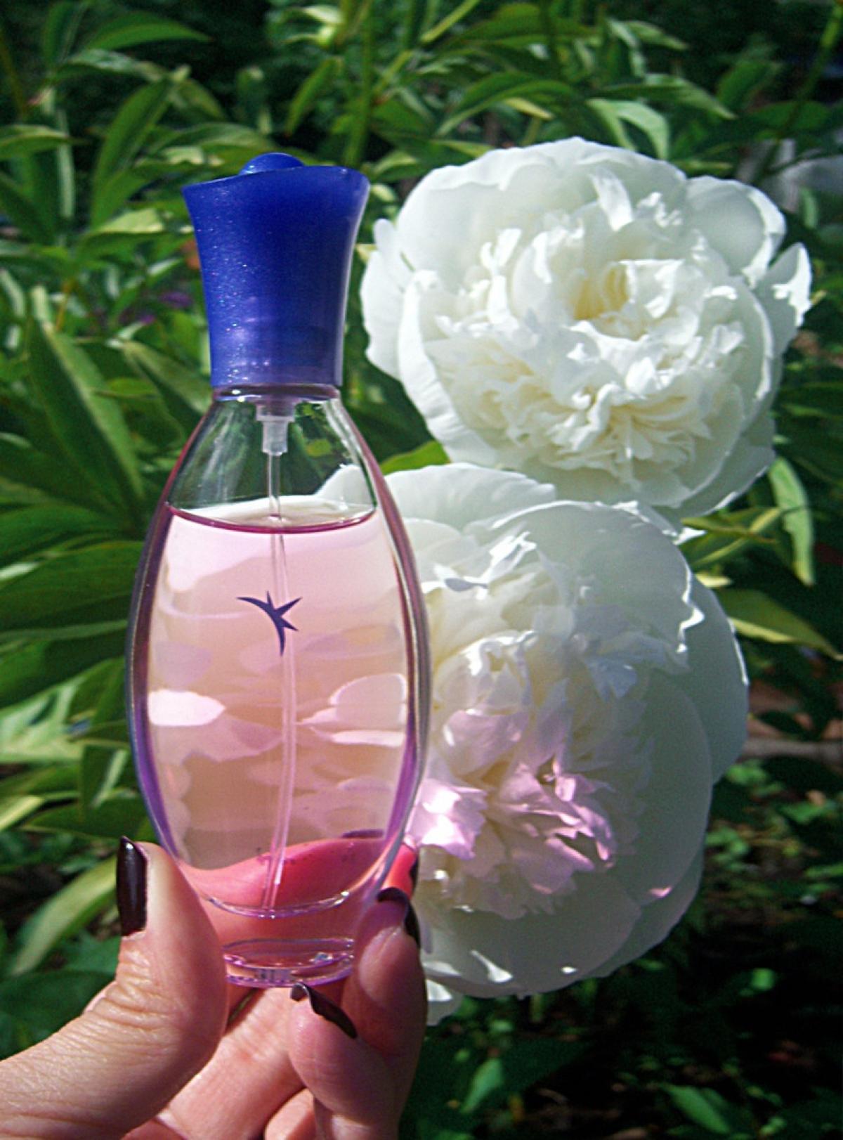 عطر ادکلن اکلیپس ۱۹۹۶ اوریفلیم - Eclipse 1996 Oriflame - بررسی، قیمت و خرید