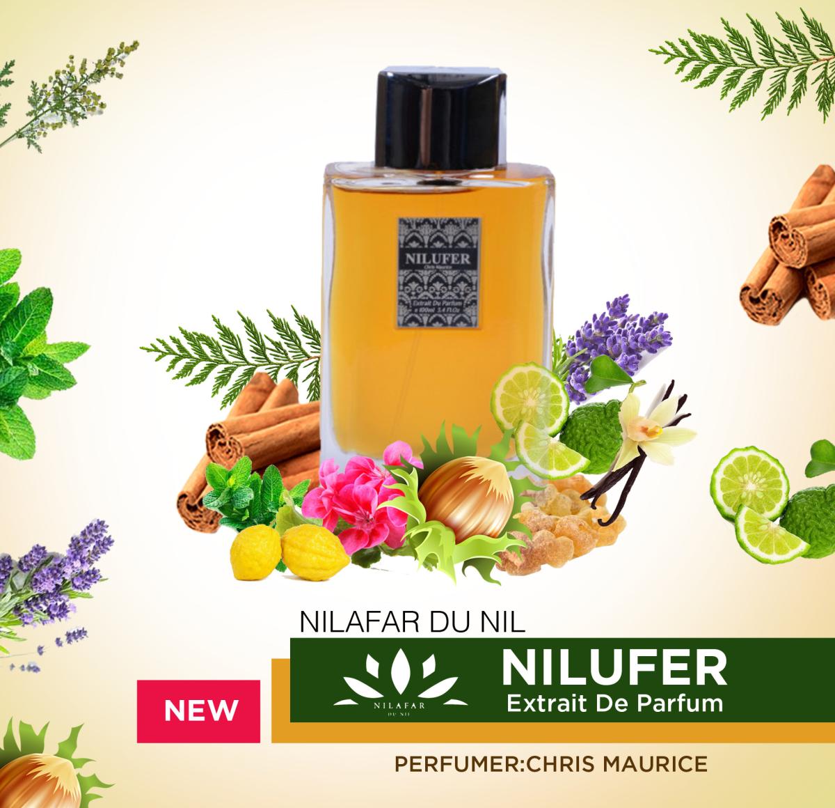 عطر ادکلن نیلوفر اکستریت د پرفیوم نیلفر دو نیل - NILUFER Extrait De Parfum Nilafar du Nil - بررسی، قیمت و خرید