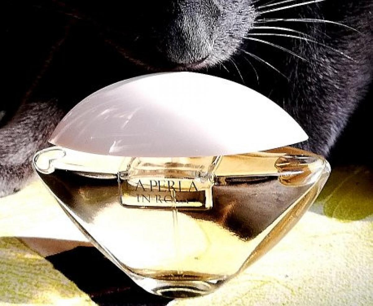عطر ادکلن لا پرلا این رزا لا پرلا - La Perla In Rosa La Perla - بررسی، قیمت و خرید