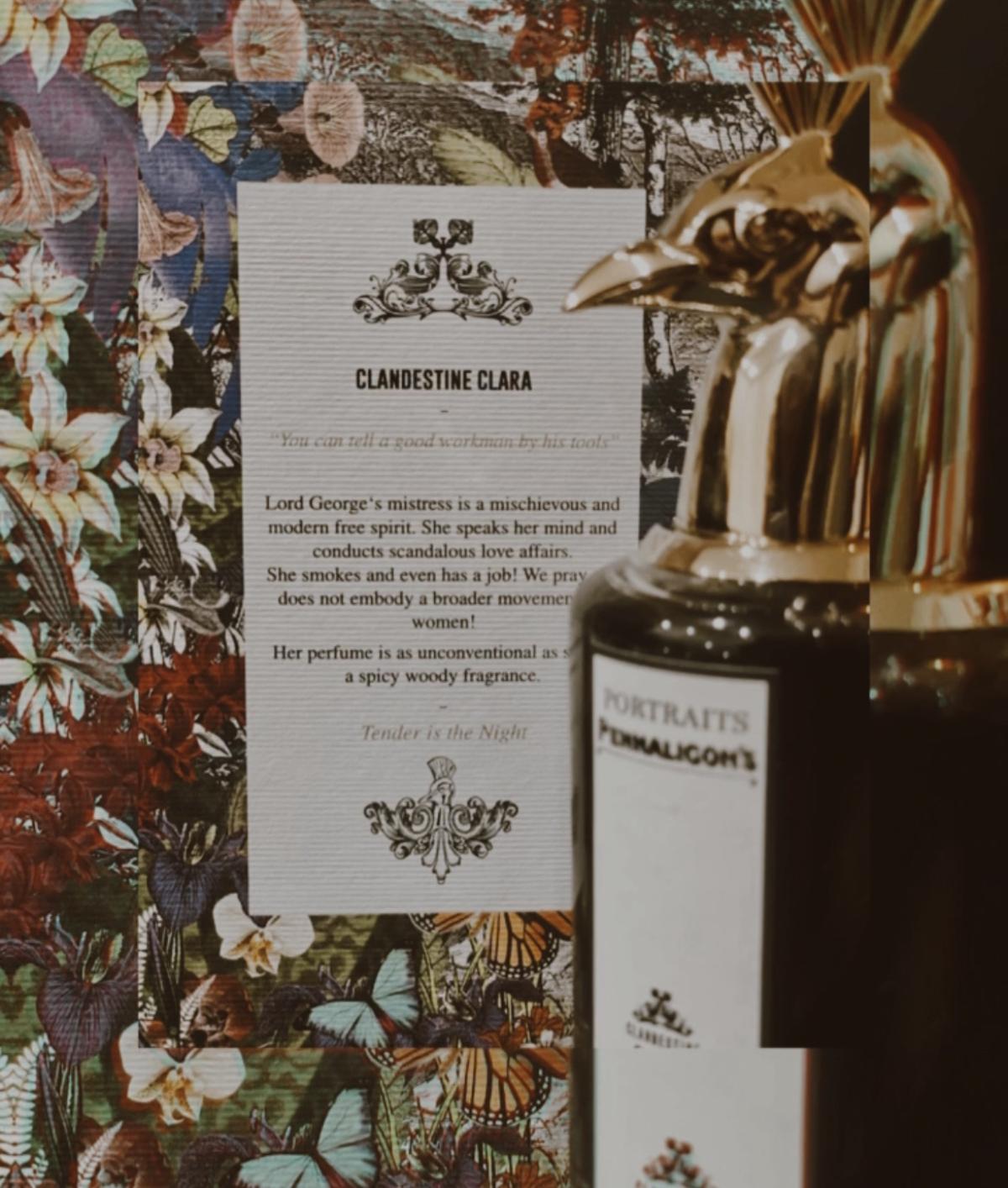 عطر ادکلن کلندستاین کلارا پنالیگونز - Clandestine Clara Penhaligon's - بررسی، قیمت و خرید