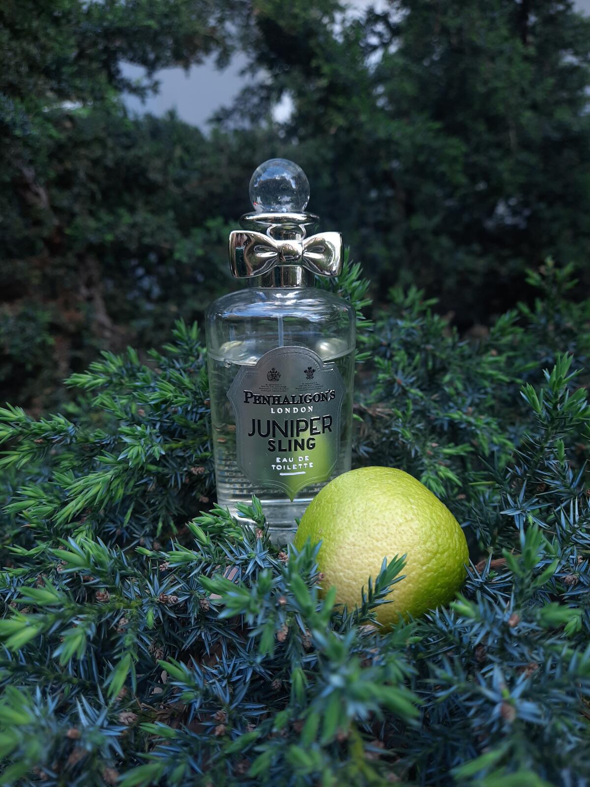 عطر ادکلن جونیپر اسلینگ پنالیگونز - Juniper Sling Penhaligon's - بررسی، قیمت و خرید