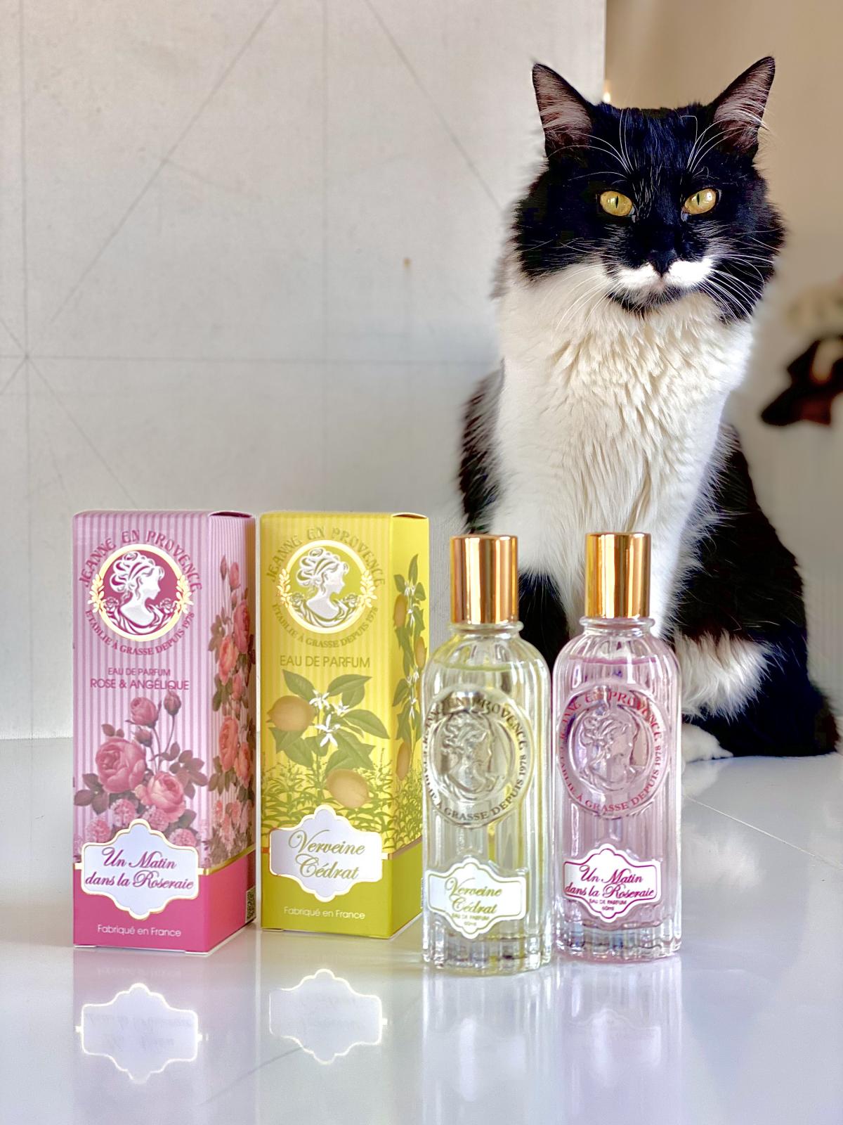 عطر ادکلن آن ماتین دان لا روزری ژان ان پرووانس - Un Matin Dans La Roseraie Jeanne en Provence - بررسی، قیمت و خرید