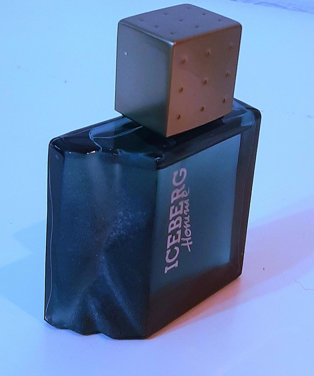 عطر ادکلن آیسبرگ هوم آیس برگ - Iceberg Homme Iceberg - بررسی، قیمت و خرید